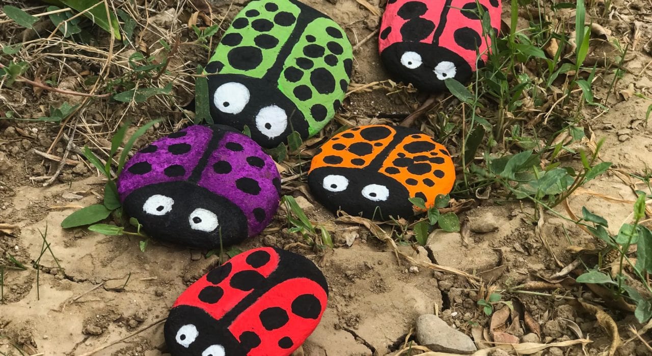 Rock Craft - Ladybird Pebbles - End Result Out in the Garden