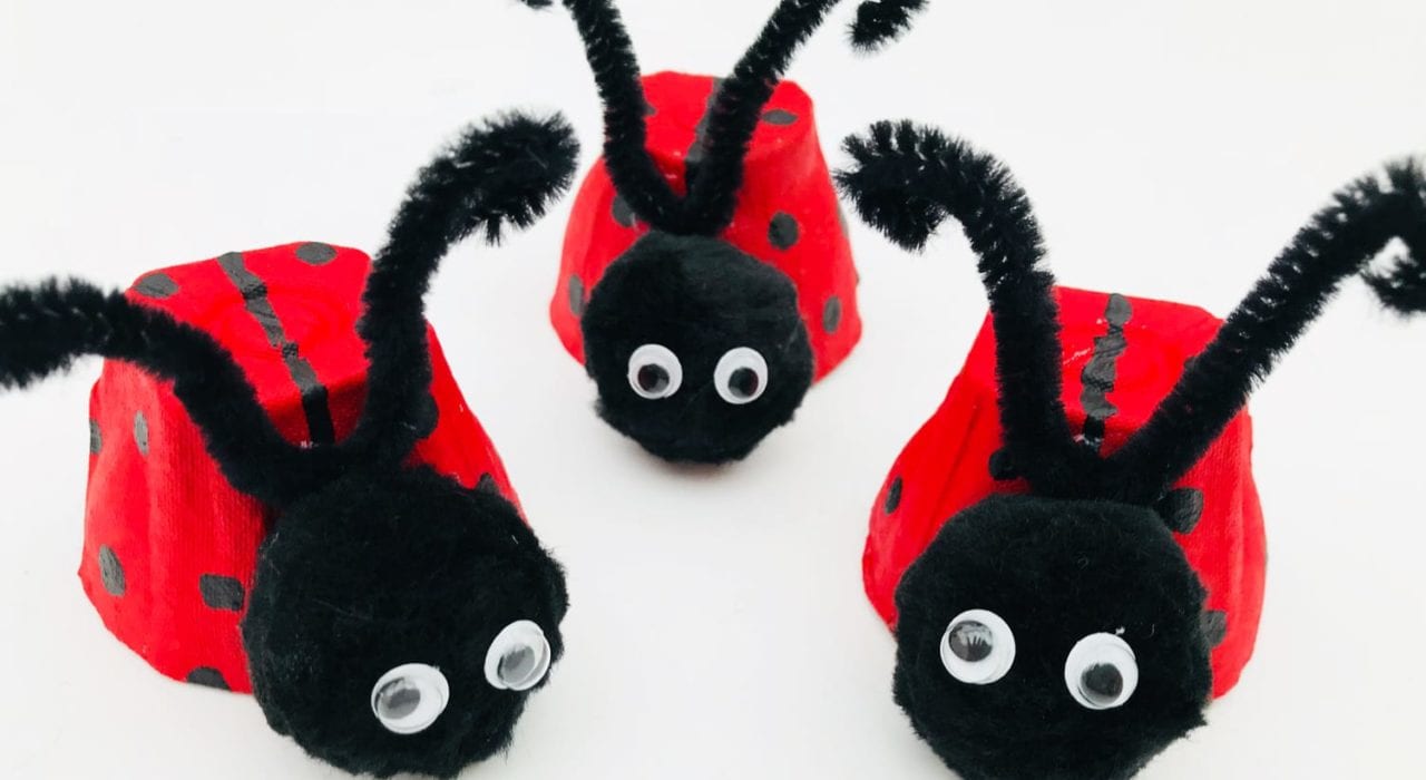 Kids Crafts Ladybird Egg Cup with antennae