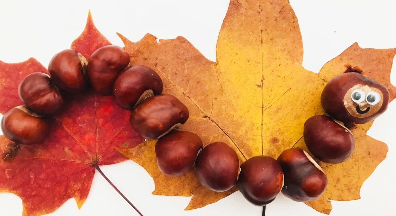 wriggly wiggly conker caterpillar - autumn craft for kid
