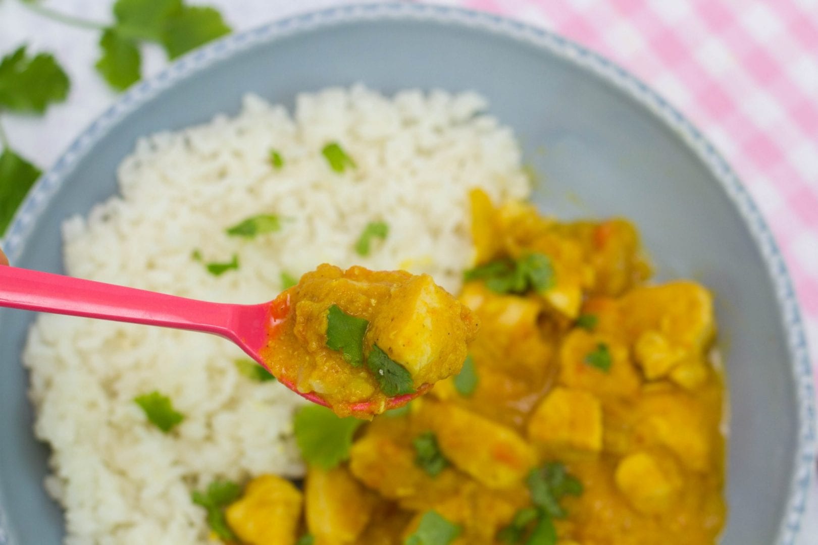 Kids chicken curry - enjoy this mild and creamy chicken curry made with lentils and fresh spices for a great family dinner
