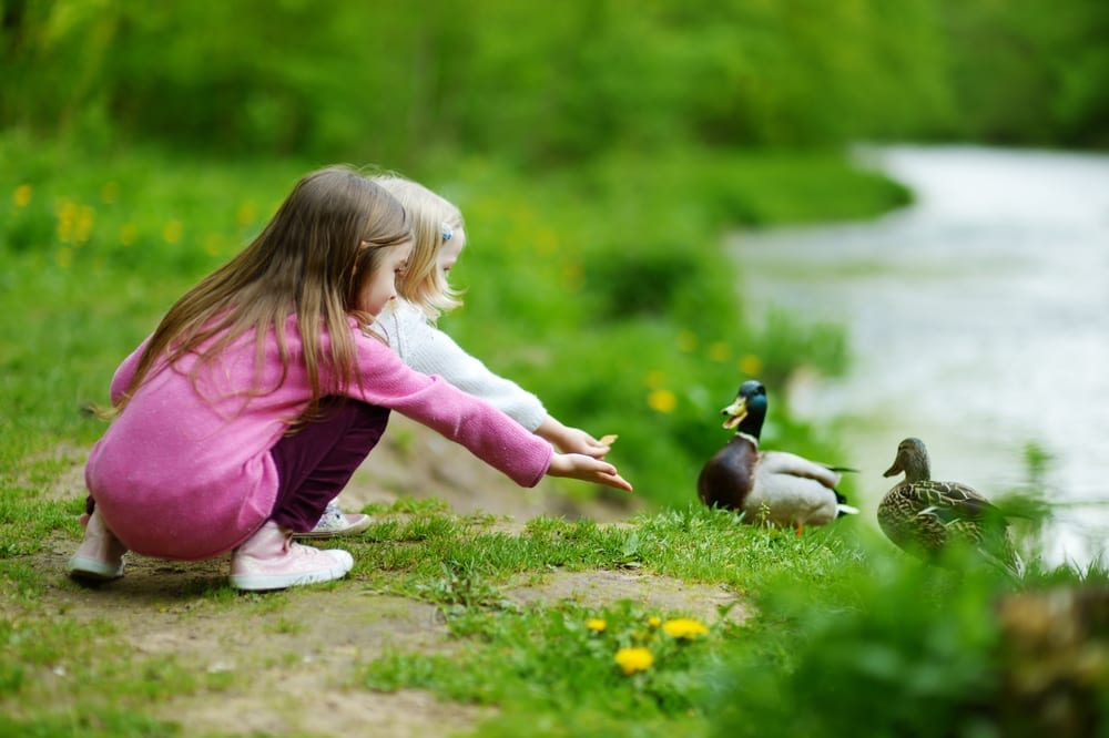 THIS is what a walk in the park with 3 young children really looks like - the reality of a day out with kids